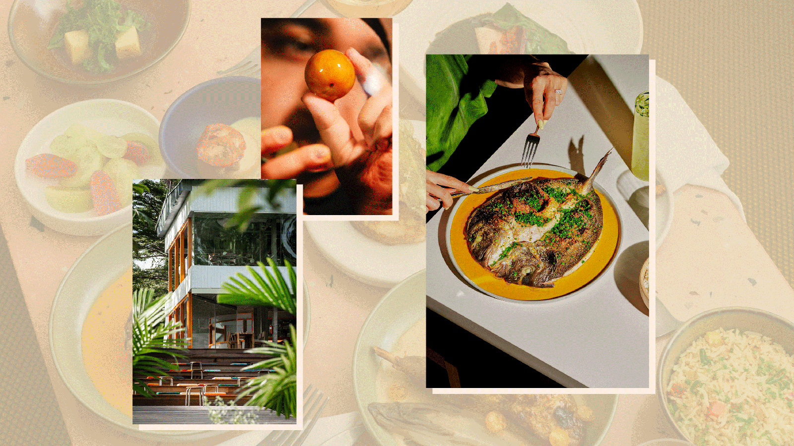 The best new restaurants in the world: 2024 Hot List