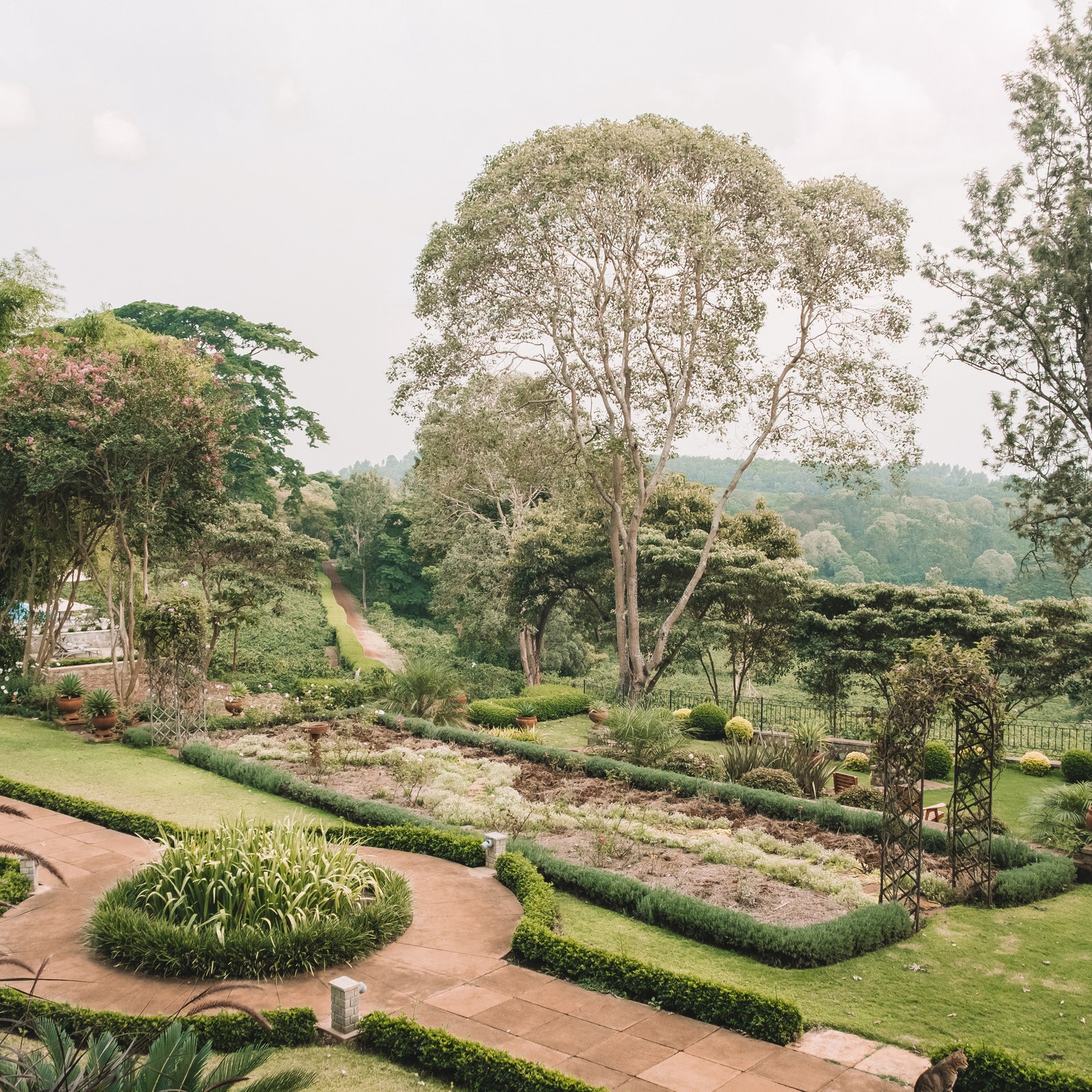 Traveller Destinations: Rest of the World